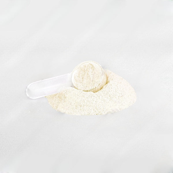 Hydration Powder (Lemonade)