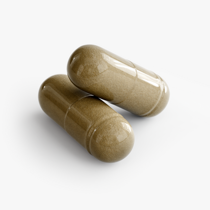 Apeish LAB Ginkgo Biloba + Ginseng – Brain Support, Focus & Natural Energy – 60 Capsules